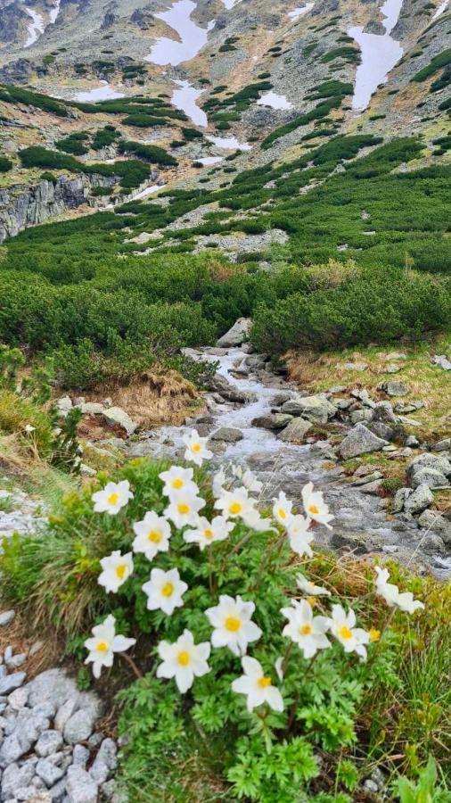 Tatry Ela Big Apartment Strbske Pleso Luaran gambar